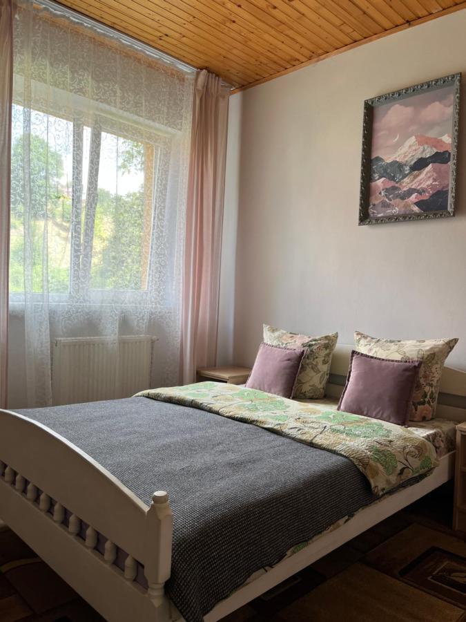 Ніч Над Карпатами Hotel Slavske Eksteriør billede